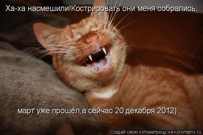 Котоматрица: Ха-ха насмешили!Кострировать они меня собрались, март уже прошёл,а сейчас 20 декабря 2012)