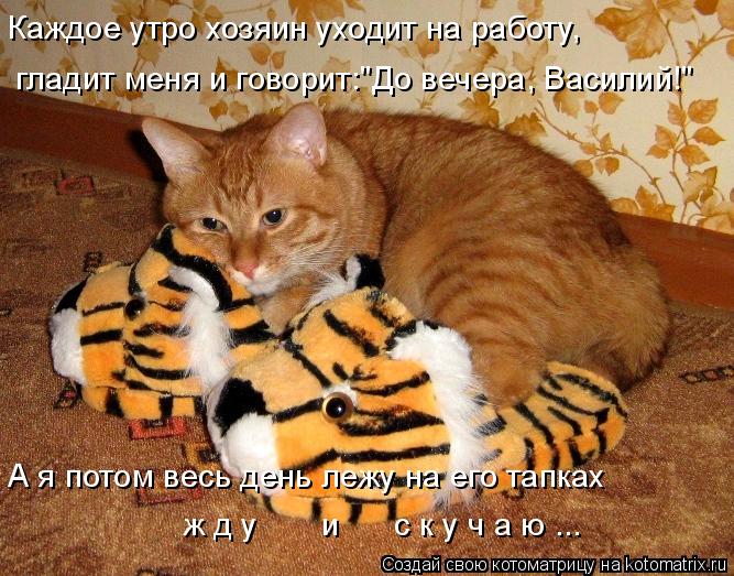 Котоматрица: Каждое утро хозяин уходит на работу,  гладит меня и говорит:"До вечера, Василий!" А я потом весь день лежу на его тапках ж д у       и      с к у ч а 