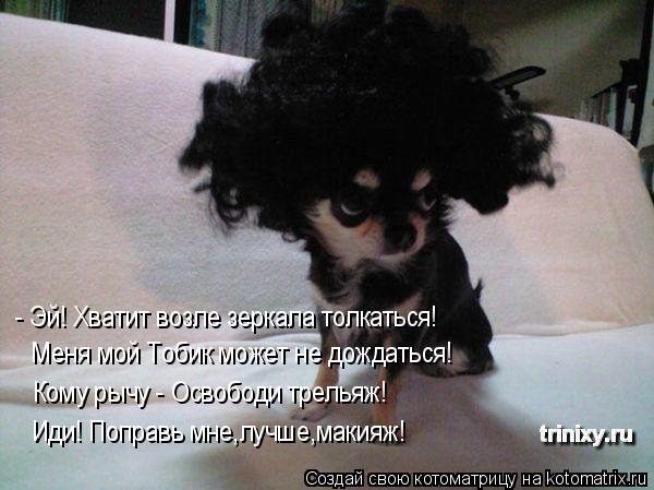 Котоматрица: - Эй! Хватит возле зеркала толкаться! Меня мой Тобик может не дождаться! Кому рычу - Освободи трельяж! Иди! Поправь мне,лучше,макияж!