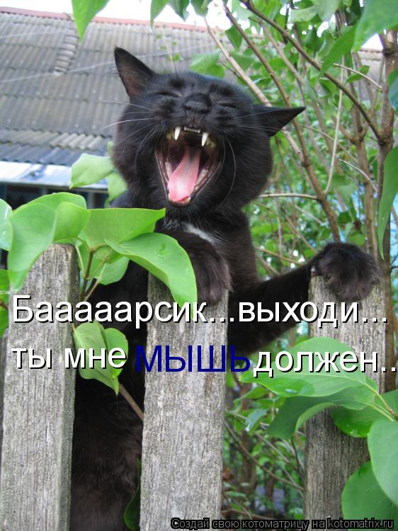 Котоматрица: Бааааарсик...выходи... ты мне МЫШЬ должен..