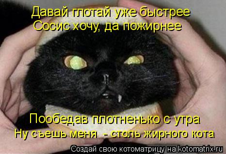 Давай глотай уже быстрее Сосис хочу, да пожирнее Пообедав плотненько с утра Ну съешь меня - столь жи... Котоматрица: Давай глотай уже быстрее Сосис хочу, да пожирнее Пообедав плотненько с утра Ну съешь меня - столь жирного кота