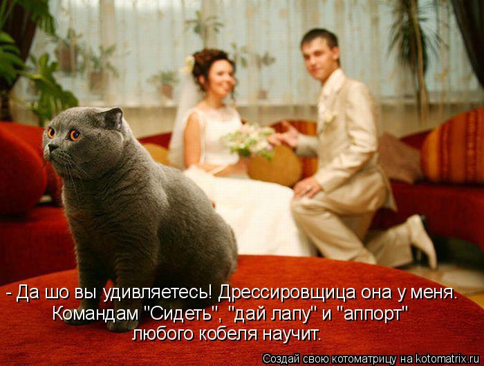 Котоматрица: - Да шо вы удивляетесь! Дрессировщица она у меня.  Командам "Сидеть", "дай лапу" и "аппорт" любого кобеля научит.