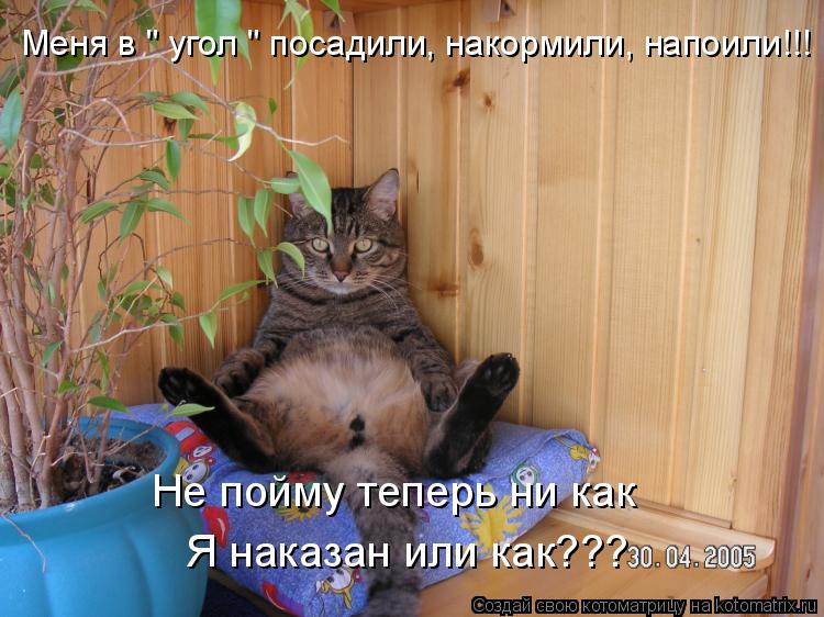 Меня в " угол " посадили, накормили, напоили!!! Не пойму теперь ни как Я наказан или как???... Котоматрица: Меня в " угол " посадили, накормили, напоили!!! Не пойму теперь ни как Я наказан или как???