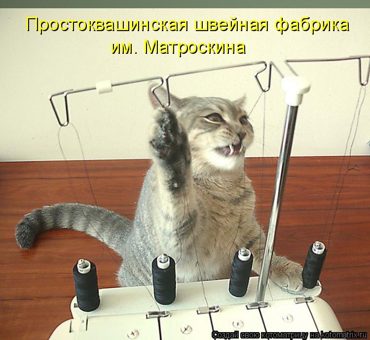 Котоматрица: Простоквашинская швейная фабрика им. Матроскина