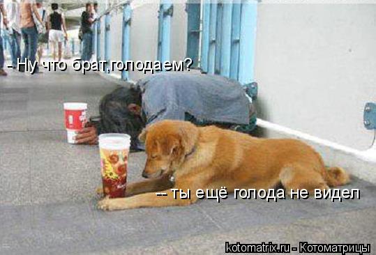 - Ну что брат,голодаем? -- ты ещё голода не видел... Котоматрица: - Ну что брат,голодаем? -- ты ещё голода не видел