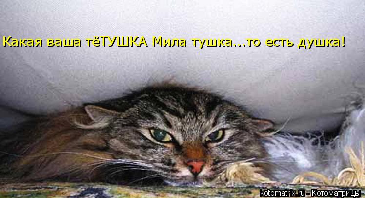 Какая ваша тёТУШКА Мила тушка...то есть душка!... Котоматрица: Какая ваша тёТУШКА Мила тушка...то есть душка!