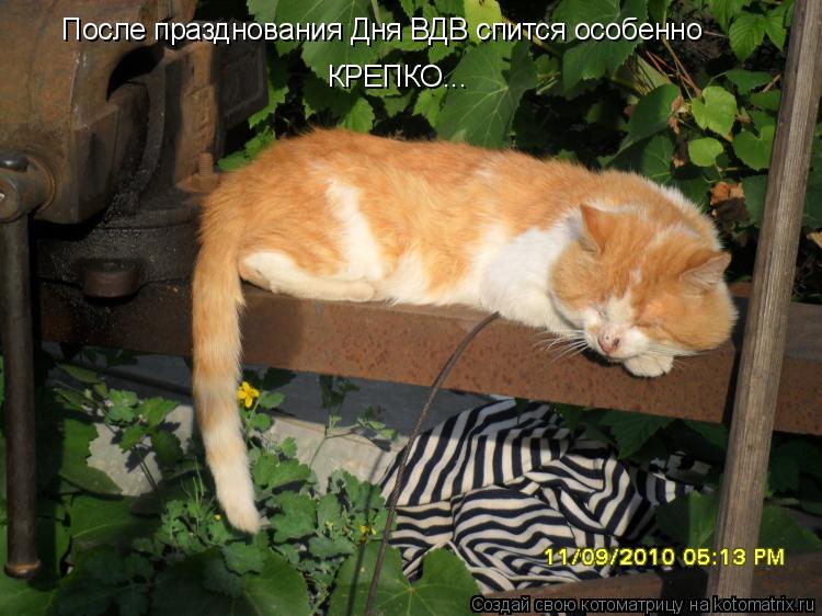 После празднования Дня ВДВ спится особенно КРЕПКО...... Котоматрица: После празднования Дня ВДВ спится особенно КРЕПКО...