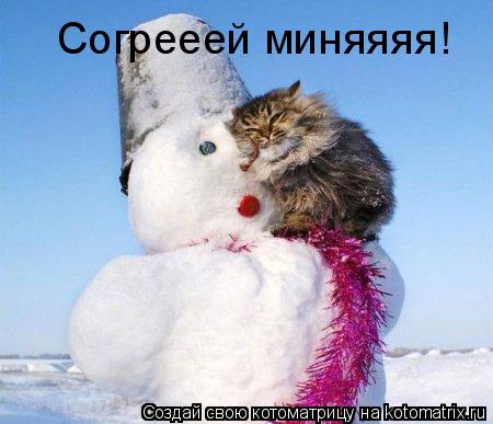 Согрееей миняяяя!... Котоматрица: Согрееей миняяяя!