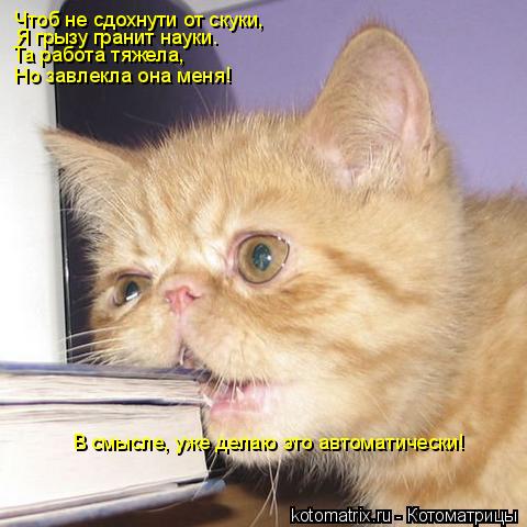 Котоматрица: Чтоб не сдохнути от скуки, Я грызу гранит науки.  Та работа тяжела,  Но завлекла она меня! В смысле, уже делаю это автоматически!