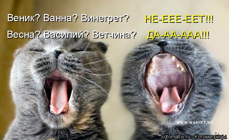 Веник? Ванна? Винегрет? НЕ-ЕЕЕ-ЕЕТ!!! Весна? Василий? Ветчина? ДА-АА-ААА!!!... Котоматрица: Веник? Ванна? Винегрет? НЕ-ЕЕЕ-ЕЕТ!!! Весна? Василий? Ветчина? ДА-АА-ААА!!!