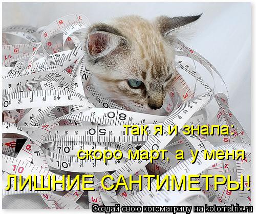 Котоматрица: так я и знала: скоро март, а у меня ЛИШНИЕ САНТИМЕТРЫ!