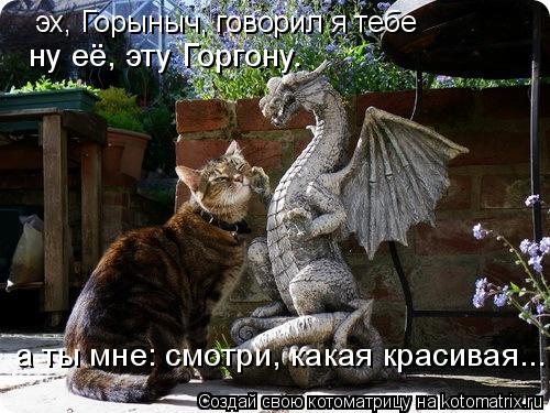 Котоматрица: эх, Горыныч, говорил я тебе ну её, эту Горгону. а ты мне: смотри, какая красивая...