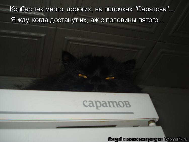 Колбас так много, дорогих, на полочках "Саратова"... Я жду, когда достанут их, аж с половины пятого..... Котоматрица: Колбас так много, дорогих, на полочках "Саратова"... Я жду, когда достанут их, аж с половины пятого...