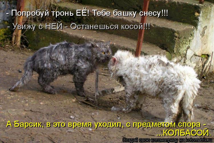 - Попробуй тронь ЕЕ! Тебе башку снесу!!! .. - Увижу с НЕЙ - Останешься косой!!! А Барсик, в это время... Котоматрица: - Попробуй тронь ЕЕ! Тебе башку снесу!!! .. - Увижу с НЕЙ - Останешься косой!!! А Барсик, в это время уходил, с предметом спора - ...КОЛБАСОЙ.