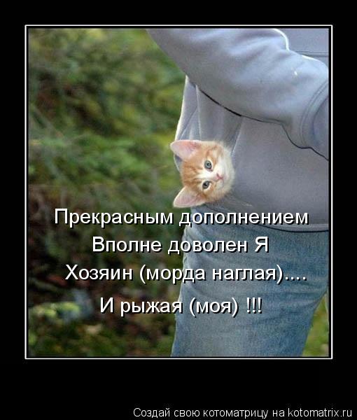 Прекрасным дополнением Вполне доволен Я Хозяин (морда наглая).... И рыжая (моя) !!!... Котоматрица: Прекрасным дополнением Вполне доволен Я Хозяин (морда наглая).... И рыжая (моя) !!!