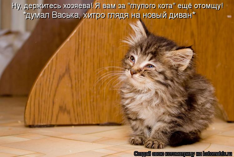 Котоматрица: *думал Васька, хитро глядя на новый диван* Ну, держитесь хозяева! Я вам за "глупого кота" ещё отомщу!