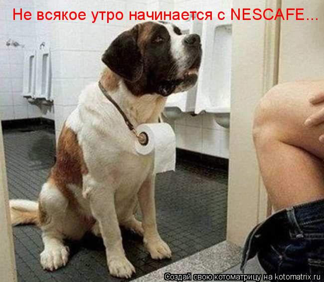 Не всякое утро начинается с NESCAFE...... Котоматрица: Не всякое утро начинается с NESCAFE...