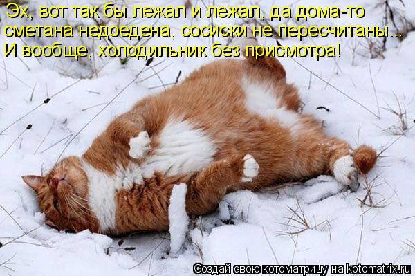 Эх, вот так бы лежал и лежал, да дома-то сметана недоедена, сосиски не пересчитаны... И вообще, холод... Котоматрица: Эх, вот так бы лежал и лежал, да дома-то сметана недоедена, сосиски не пересчитаны... И вообще, холодильник без присмотра!