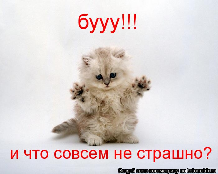 Котоматрица: бууу!!! и что совсем не страшно?
