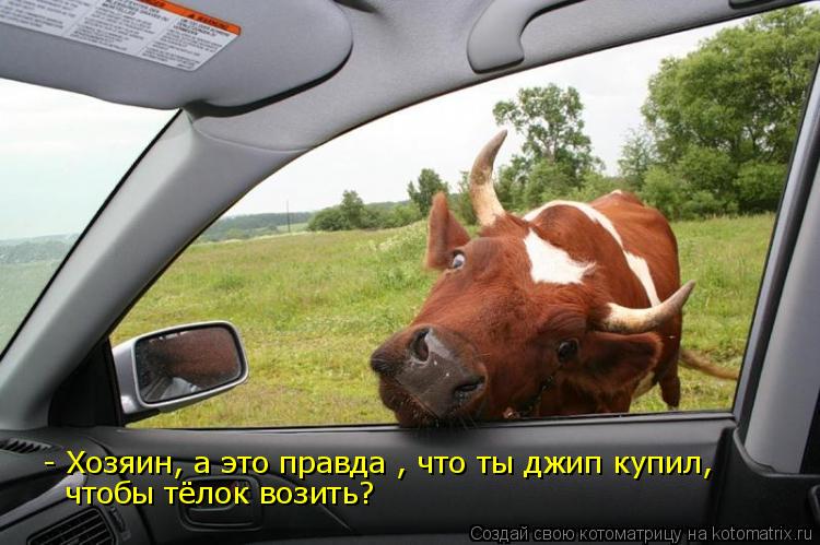 Котоматрица: - Хозяин, а это правда , что ты джип купил, чтобы тёлок возить?