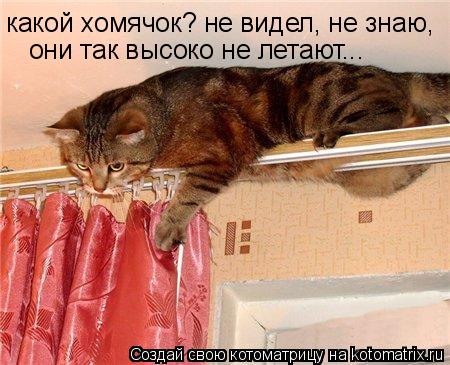 Котоматрица: они так высоко не летают... какой хомячок? не видел, не знаю,
