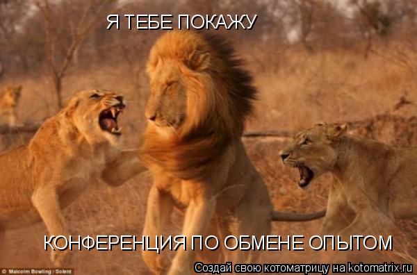 Котоматрица: Я ТЕБЕ ПОКАЖУ   КОНФЕРЕНЦИЯ ПО ОБМЕНЕ ОПЫТОМ