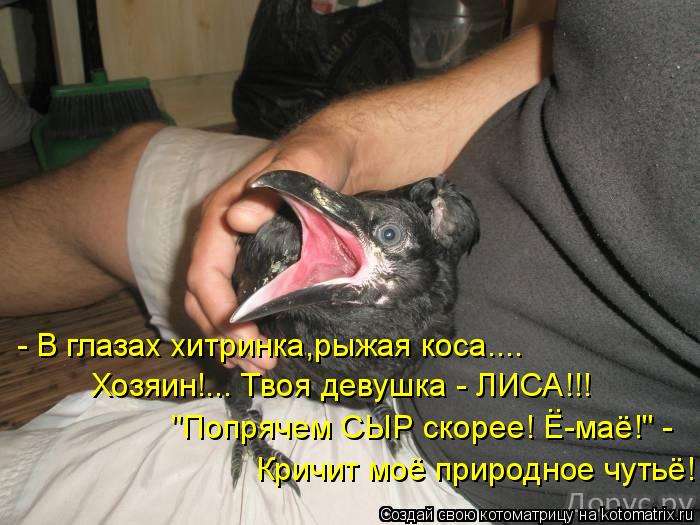 - В глазах хитринка,рыжая коса.... Хозяин!... Твоя девушка - ЛИСА!!! "Попрячем СЫР скорее! Е-маё!" - ... Котоматрица: - В глазах хитринка,рыжая коса.... Хозяин!... Твоя девушка - ЛИСА!!! "Попрячем СЫР скорее! Е-маё!" - .. Кричит моё природное чутьё!