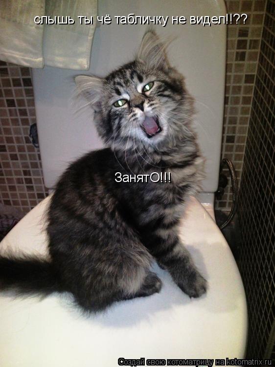 слышь ты чё табличку не видел!!?? ЗанятО!!!... Котоматрица: слышь ты чё табличку не видел!!?? ЗанятО!!!