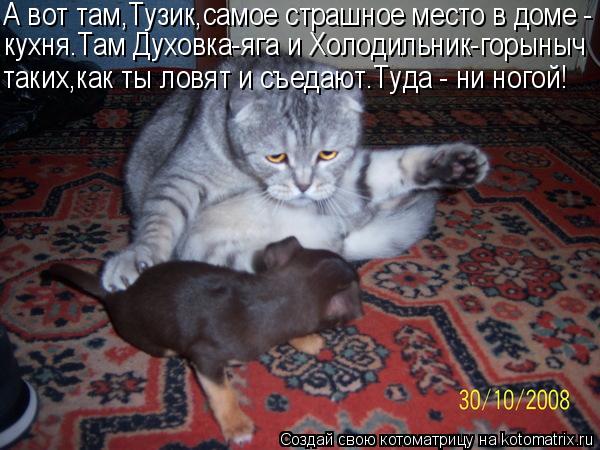 А вот там,Тузик,самое страшное место в доме - кухня.Там Духовка-яга и Холодильник-горыныч таких,как т... Котоматрица: А вот там,Тузик,самое страшное место в доме - кухня.Там Духовка-яга и Холодильник-горыныч таких,как ты ловят и съедают.Туда - ни ногой!