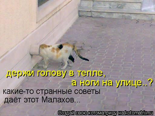 Котоматрица: держи голову в тепле,  а ноги на улице..? даёт этот Малахов... какие-то странные советы