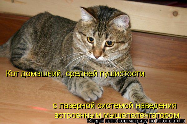Кот домашний, средней пушистости, с лазерной системой наведения встроенным мышепеленгатором.... Котоматрица: Кот домашний, средней пушистости, с лазерной системой наведения встроенным мышепеленгатором.
