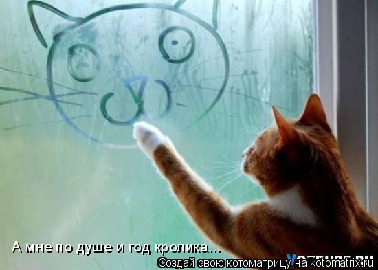 А мне по душе и год кролика...... Котоматрица: А мне по душе и год кролика...