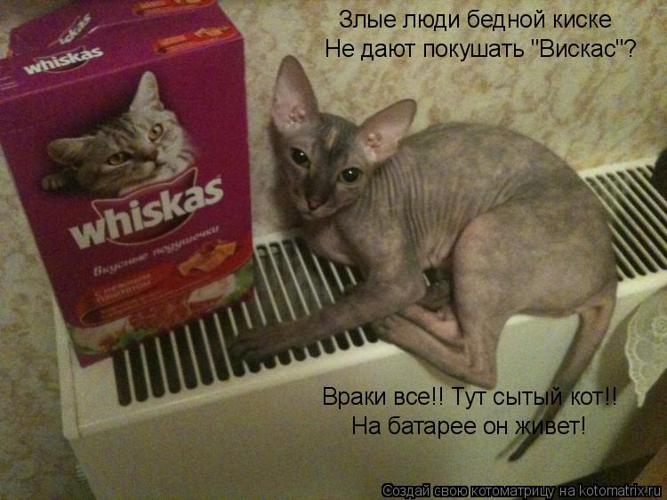 Злые люди бедной киске Не дают покушать "Вискас"? Враки все!! Тут сытый кот!! На батарее он живет!... Котоматрица: Злые люди бедной киске Не дают покушать "Вискас"? Враки все!! Тут сытый кот!! На батарее он живет!