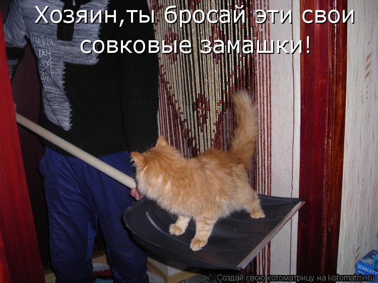 Хозяин,ты бросай эти свои совковые замашки!... Котоматрица: Хозяин,ты бросай эти свои совковые замашки!