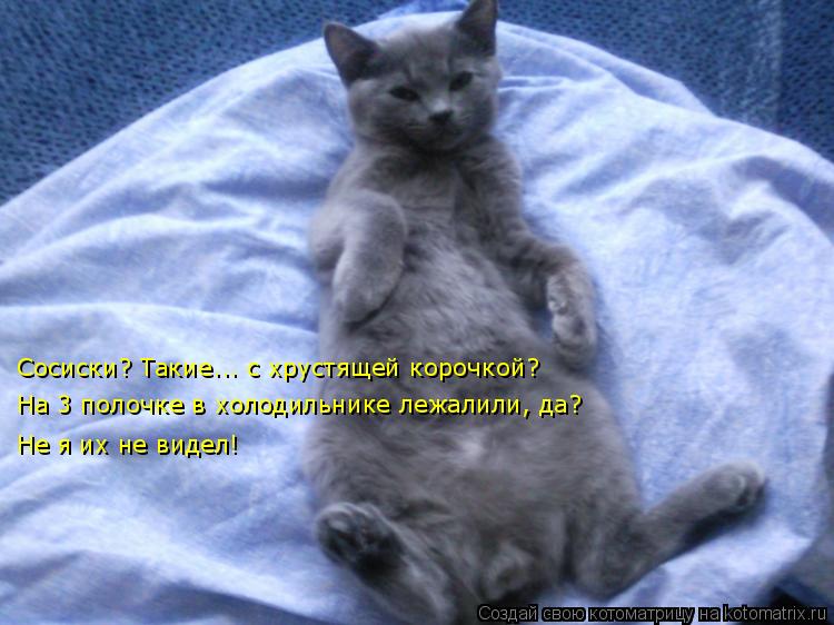 Котоматрица: Сосиски? Такие... с хрустящей корочкой? На 3 полочке в холодильнике лежалили, да? Не я их не видел!