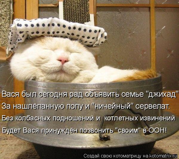 Котоматрица: Вася был сегодня рад объявить семье "джихад" За нашлёпанную попу и "ничейный" сервелат. Без колбасных подношений и  котлетных извинений Буде