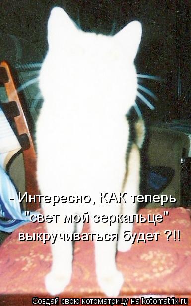 "свет мой зеркальце" - Интересно, КАК теперь выкручиваться будет ?!!... Котоматрица: "свет мой зеркальце" - Интересно, КАК теперь выкручиваться будет ?!!
