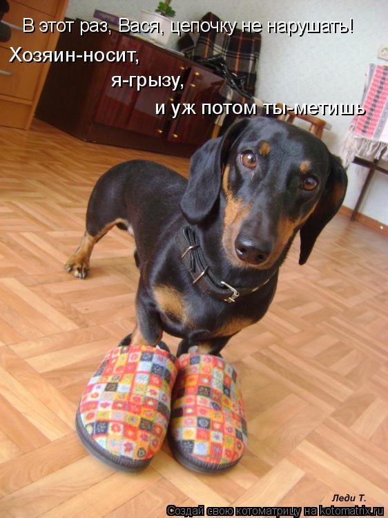 В этот раз, Вася, цепочку не нарушать! Хозяин-носит, я-грызу, и уж потом ты-метишь... Котоматрица: В этот раз, Вася, цепочку не нарушать! Хозяин-носит, я-грызу, и уж потом ты-метишь