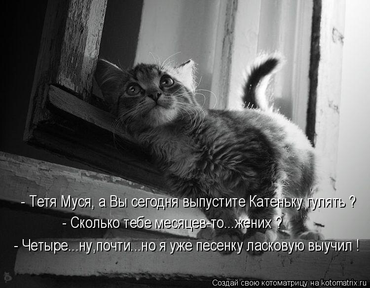 - Сколько тебе месяцев-то...жених ? - Четыре...ну,почти...но я уже песенку ласковую выучил ! - Тетя М... Котоматрица: - Сколько тебе месяцев-то...жених ? - Четыре...ну,почти...но я уже песенку ласковую выучил ! - Тетя Муся, а Вы сегодня выпустите Катеньку гулять ?