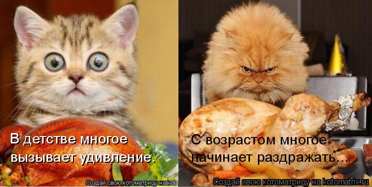 В детстве многое вызывает удивление. С возрастом многое начинает раздражать...... Котоматрица: В детстве многое вызывает удивление. С возрастом многое начинает раздражать...
