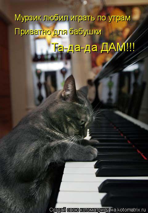 Котоматрица: Мурзик любил играть по утрам Приватно для бабушки Та-да-да ДАМ!!!