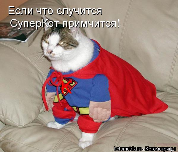 Если что случится СуперКот примчится! K... Котоматрица: Если что случится СуперКот примчится! K