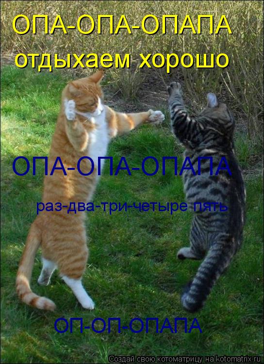 ОПА-ОПА-ОПАПА отдыхаем хорошо ОПА-ОПА-ОПАПА раз-два-три-четыре пять ОП-ОП-ОПАПА... Котоматрица: ОПА-ОПА-ОПАПА отдыхаем хорошо ОПА-ОПА-ОПАПА раз-два-три-четыре пять ОП-ОП-ОПАПА
