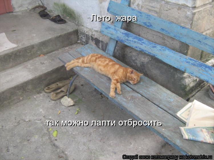 Котоматрица: Лето, жара так можно лапти отбросить
