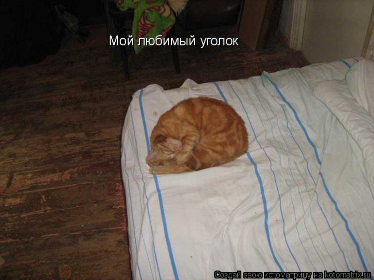 Котоматрица: Мой любимый уголок