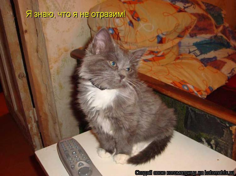Котоматрица: Я знаю, что я не отразим!