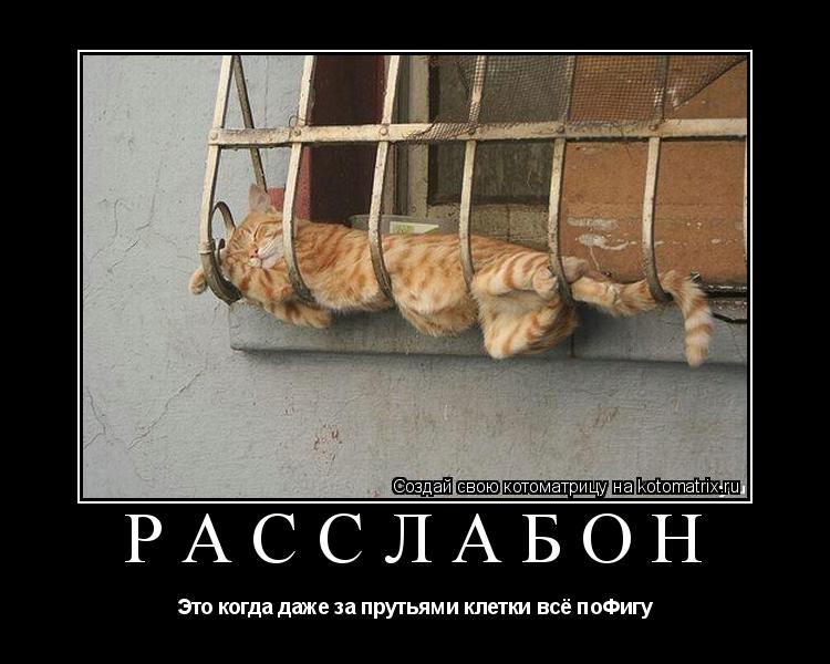 РАССЛАБОН Это когда даже за прутьями клетки всё поФигу... Котоматрица: РАССЛАБОН Это когда даже за прутьями клетки всё поФигу
