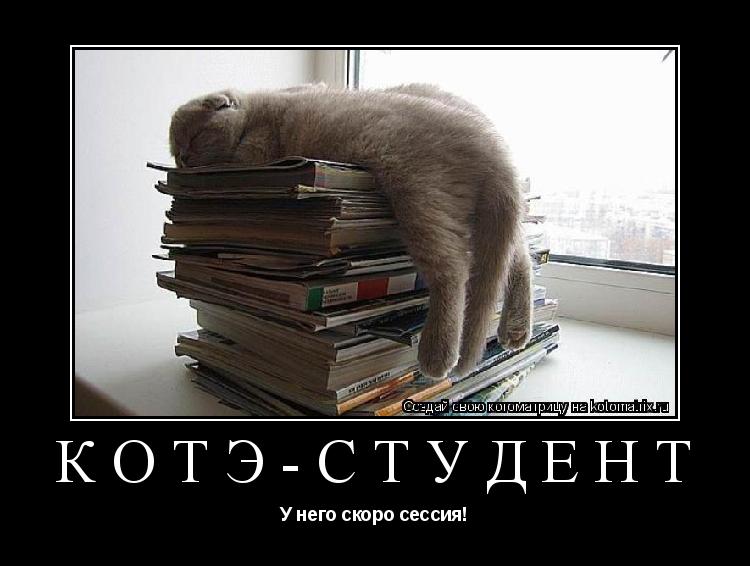 Котоматрица: КОТЭ-СТУДЕНТ  У него скоро сессия!