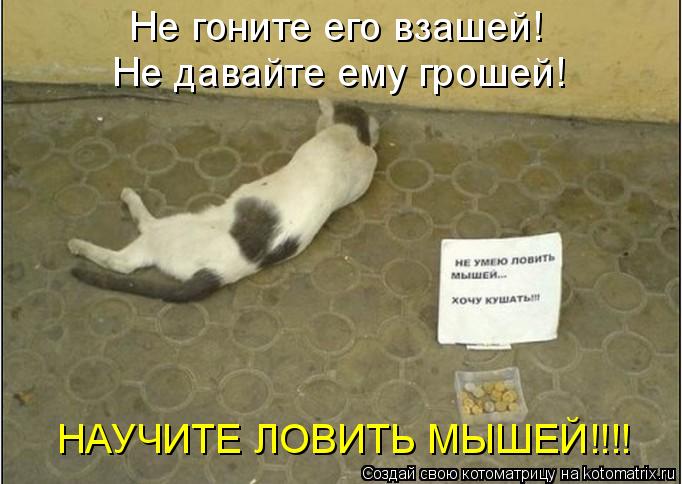 Котоматрица: Не гоните его взашей! Не давайте ему грошей! НАУЧИТЕ ЛОВИТЬ МЫШЕЙ!!!!