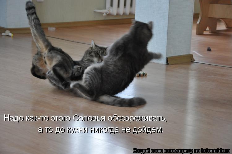 Надо как-то этого Соловья обезвреживать, а то до кухни никогда не дойдем.... Котоматрица: Надо как-то этого Соловья обезвреживать, а то до кухни никогда не дойдем.